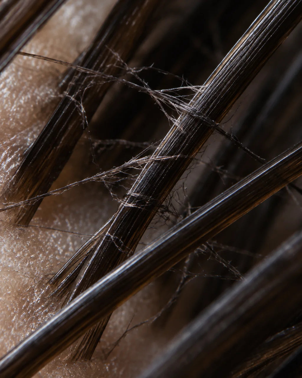 A macro photograph of dark keratin hair fibers caught between several individual dark-brown hair str